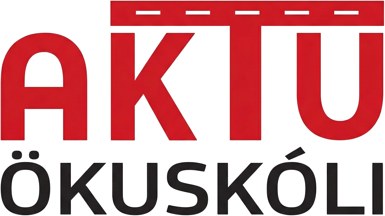 Netskóli Aktu